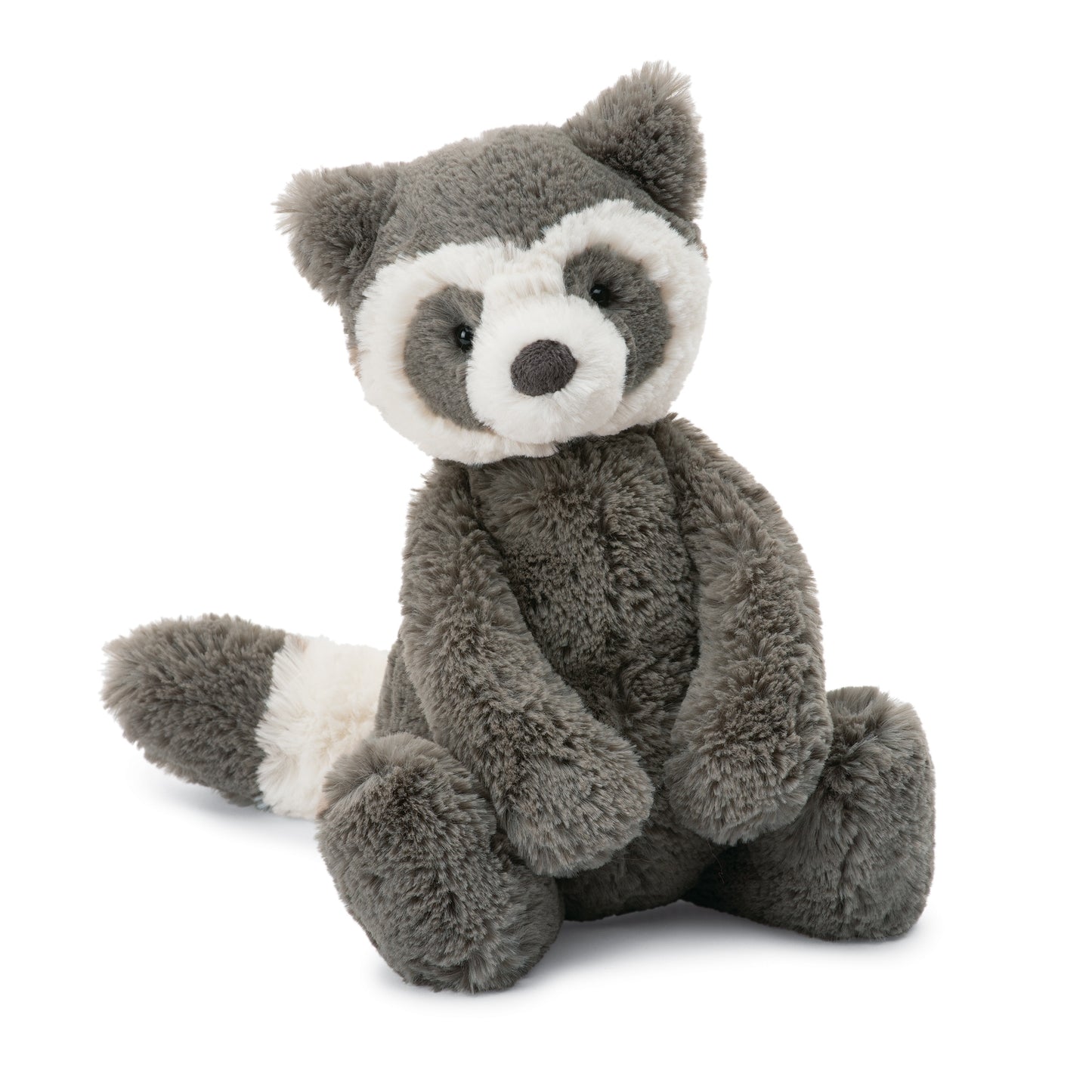 Bashful Raccoon Original
