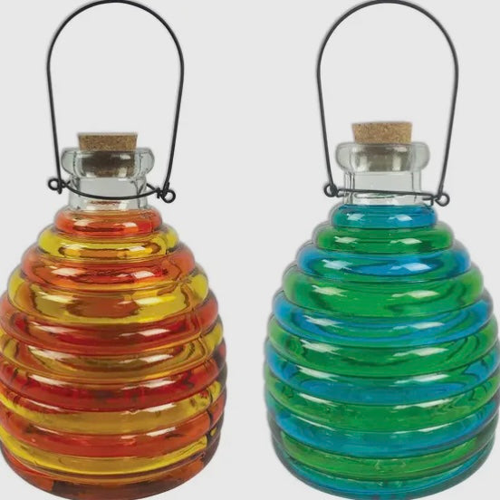 Glass Wasp Traps