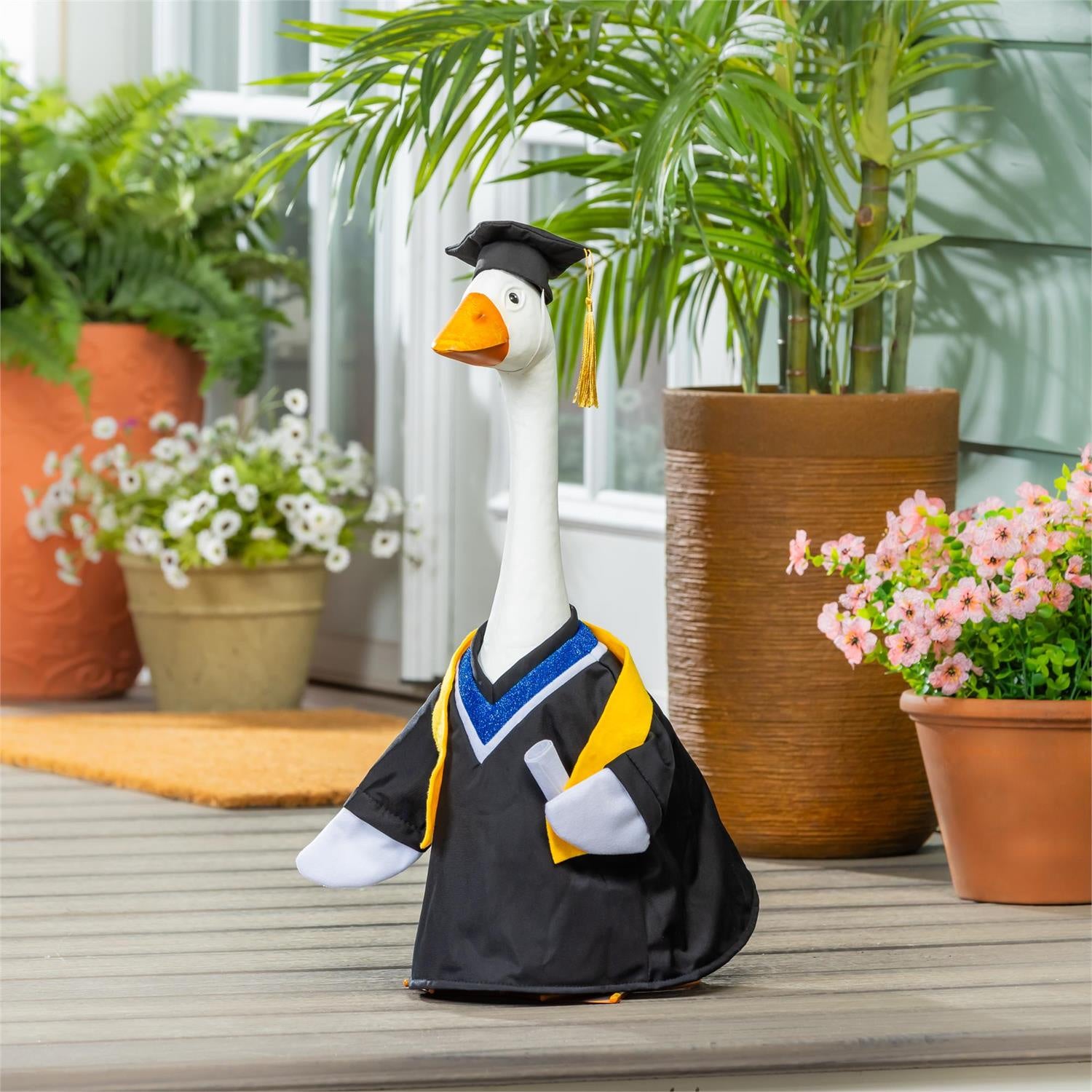 Graduation Day - Porch Goose Outfit