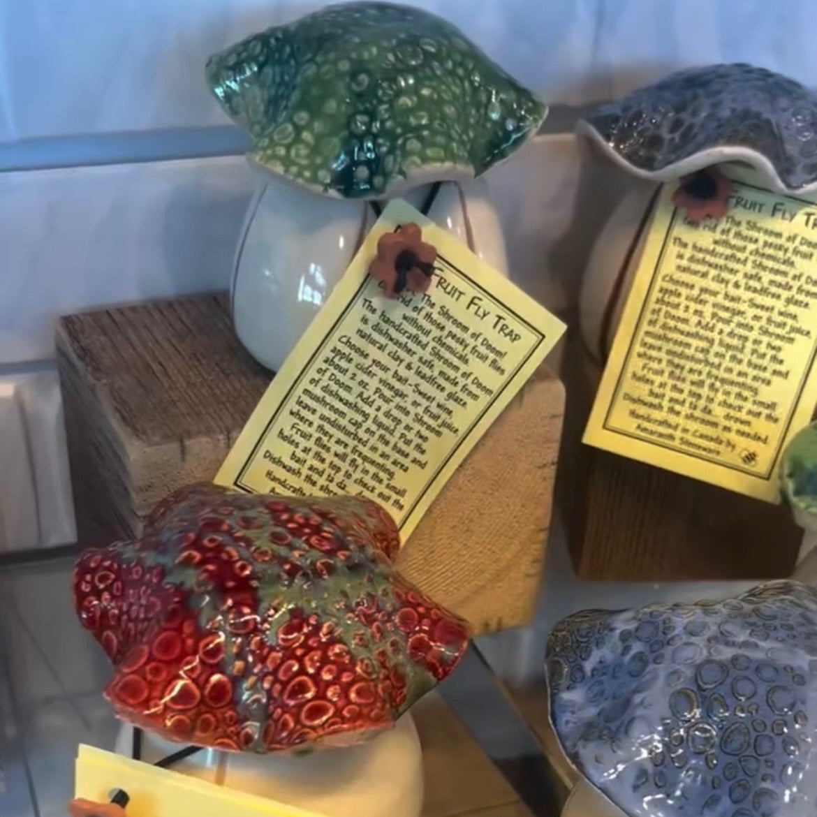 Fruit Fly Traps