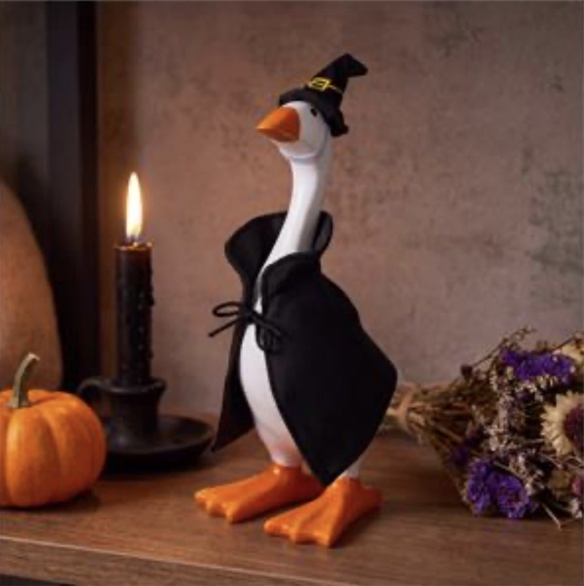 Witch - Desk Goose Outfit