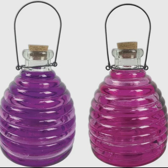 Glass Wasp Traps
