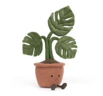Amuseable Monstera Plant