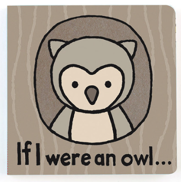If I Were an Owl Book