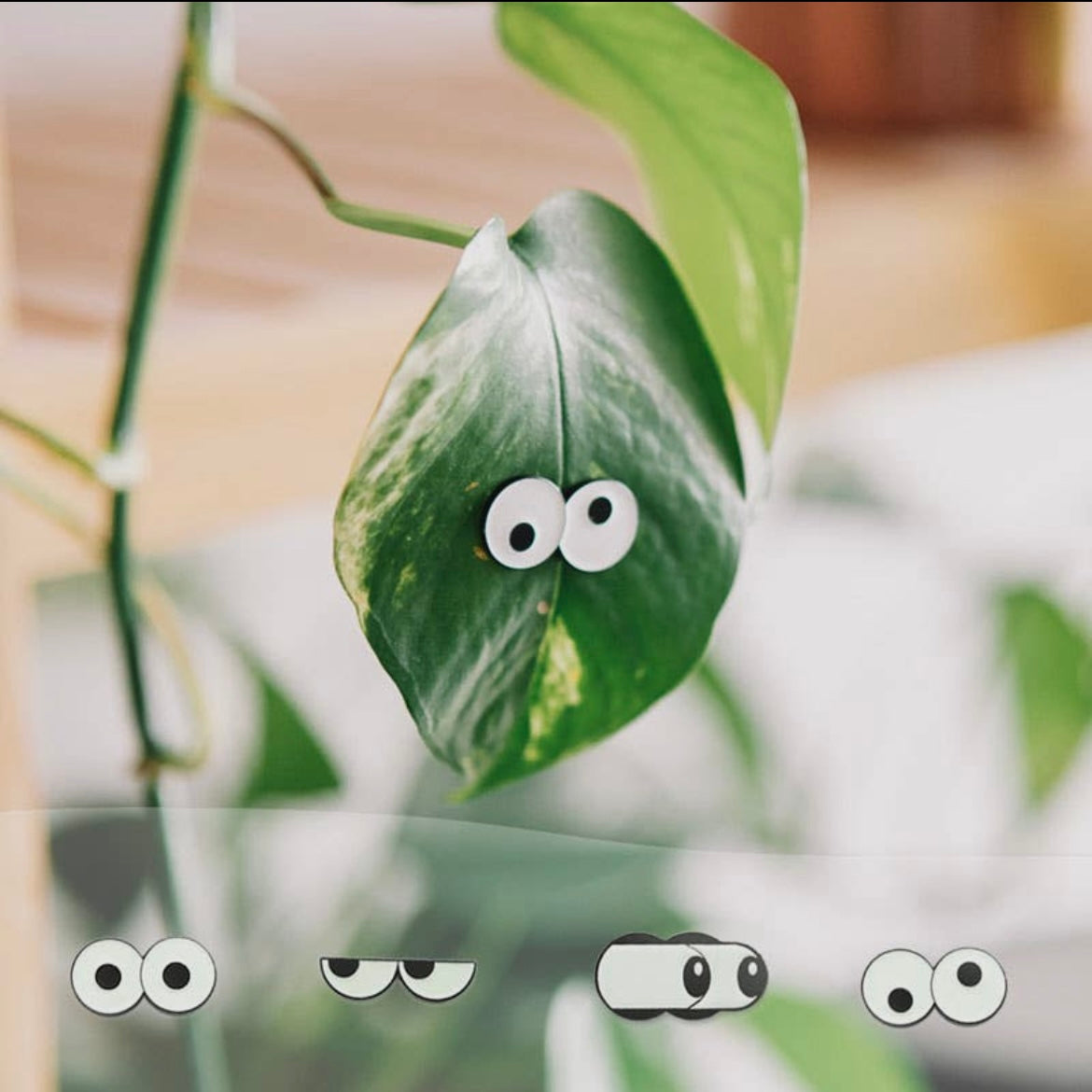 Plant Charms (4 Pack)