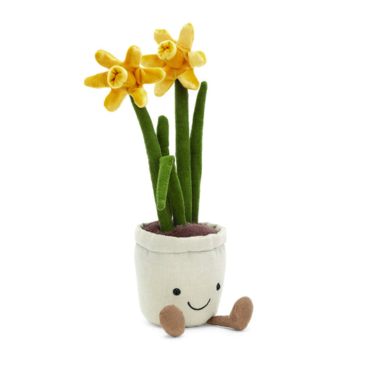 Amuseable Daffodil Pot