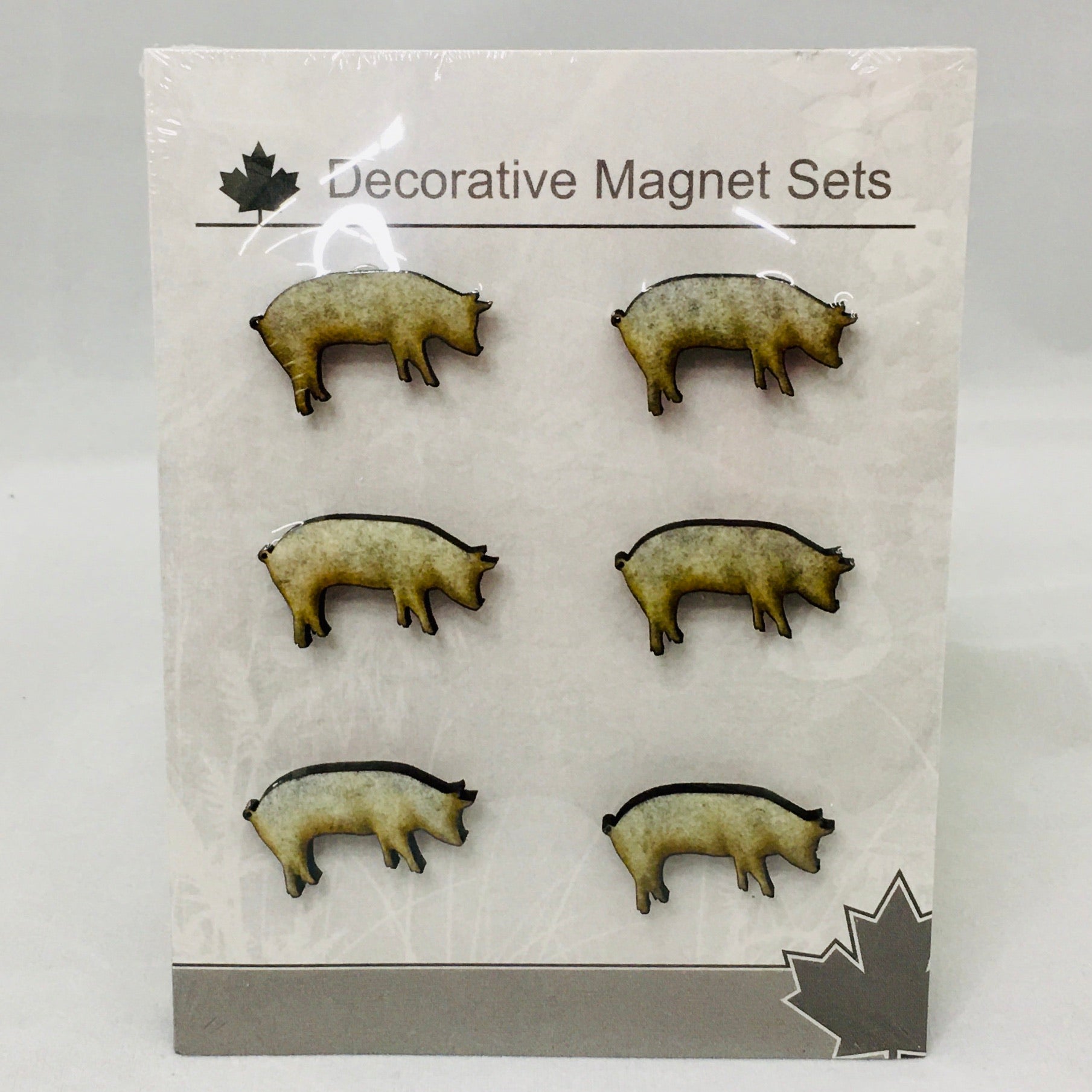 Mini Magnet Set