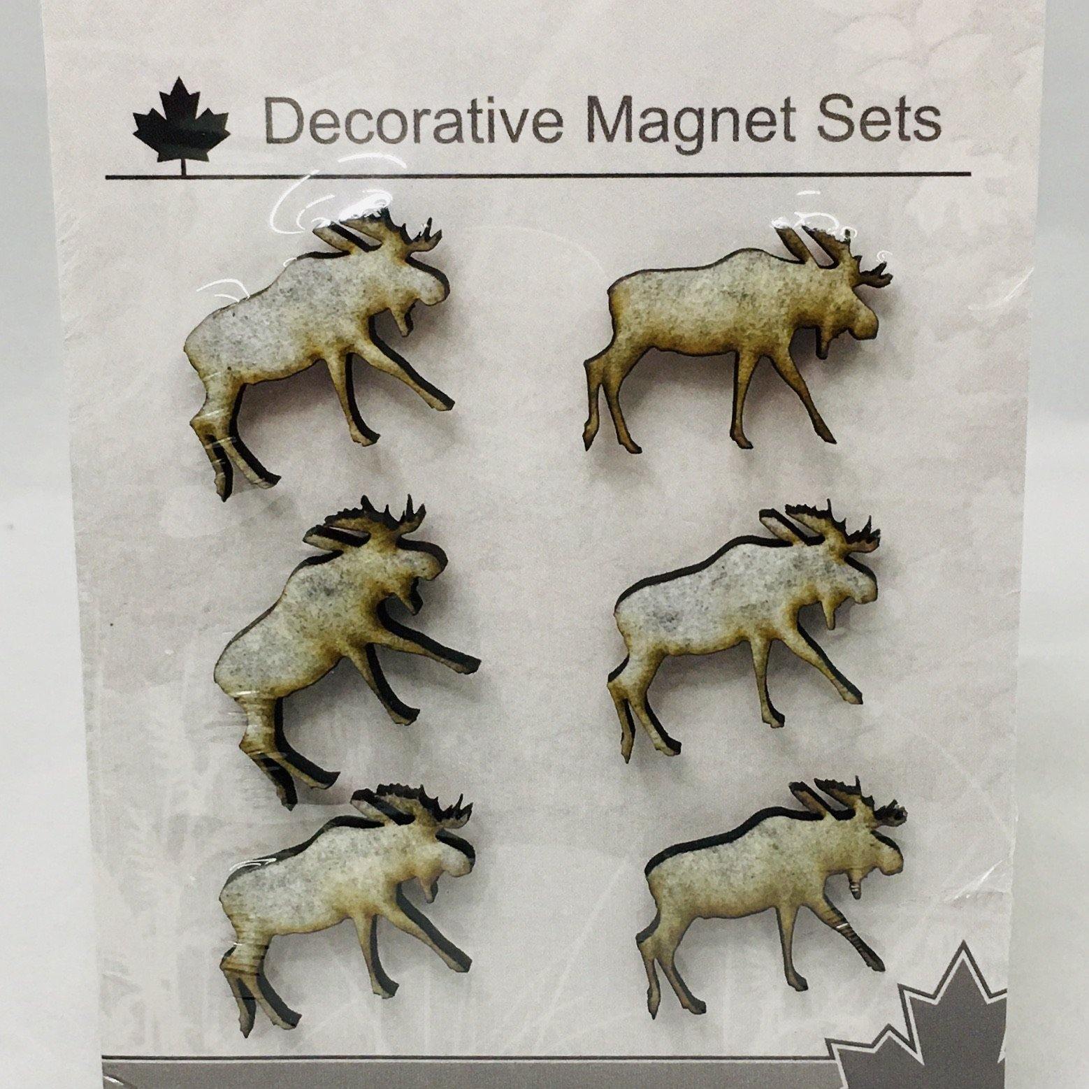 Mini Magnet Set - TWB Home Decor