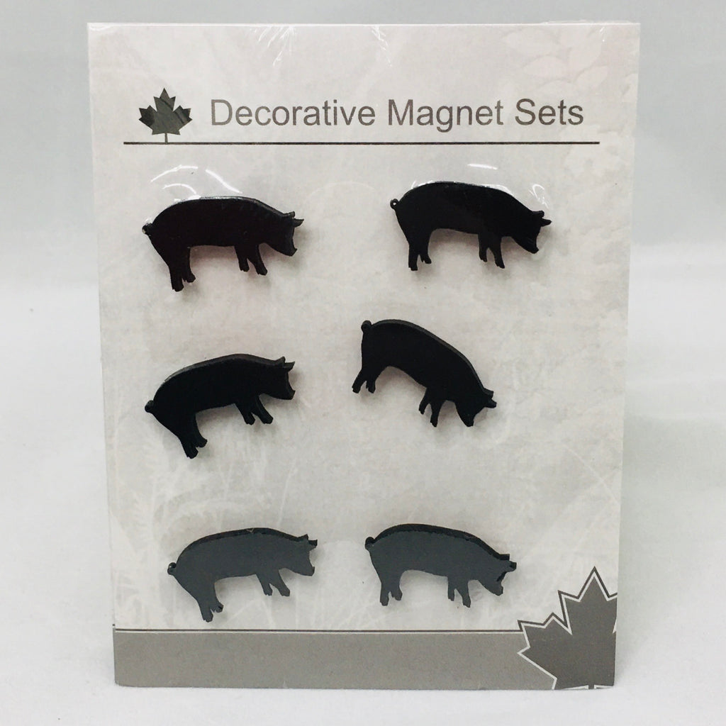 Mini Magnet Set