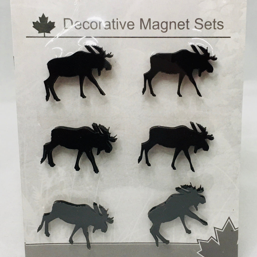 Mini Magnet Set