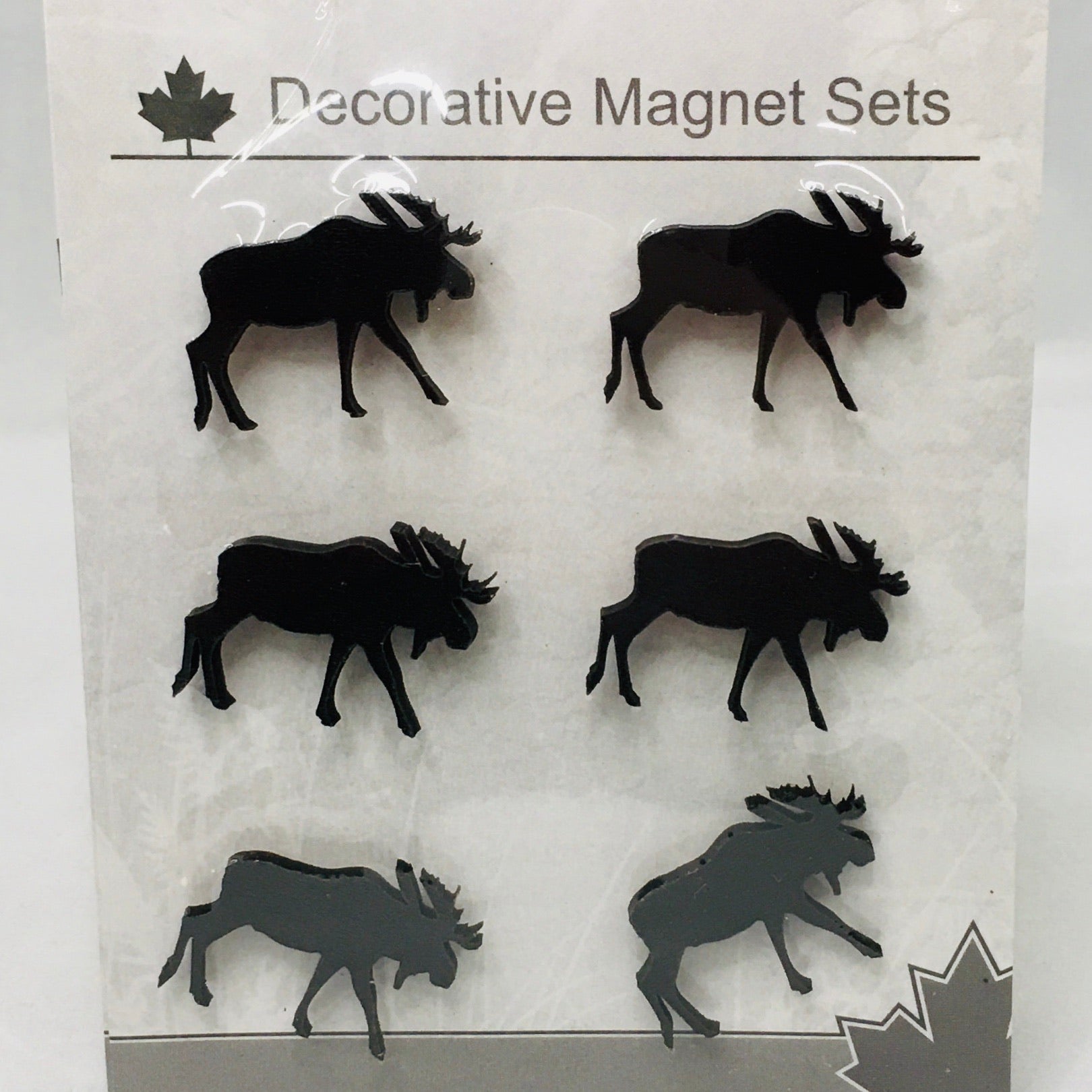 Mini Magnet Set